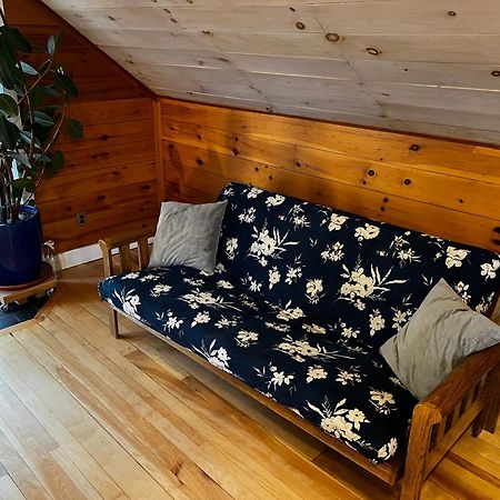Bright And Cozy Treehouse Apartment Burlington Eksteriør billede