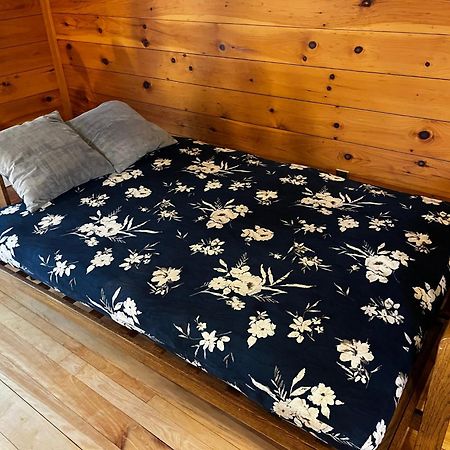 Bright And Cozy Treehouse Apartment Burlington Eksteriør billede