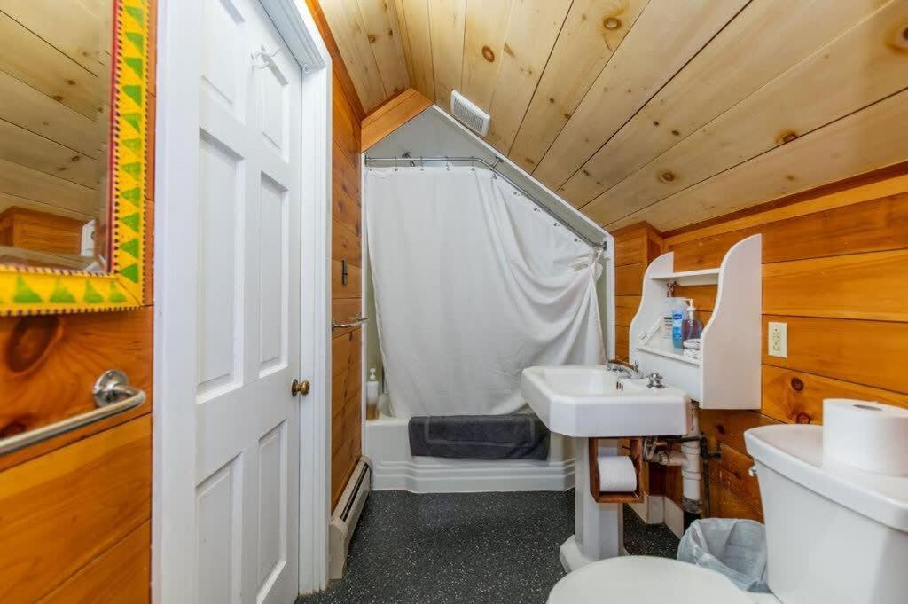 Bright And Cozy Treehouse Apartment Burlington Eksteriør billede